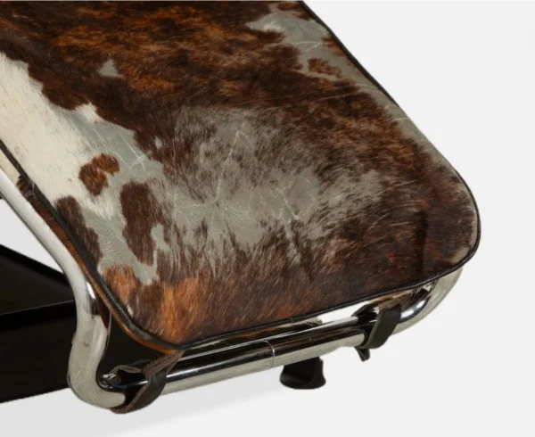 LC4 Pony Skin 3